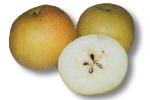 AsianPear