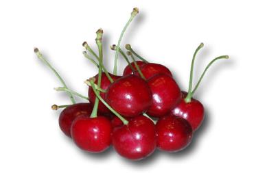 Cherries