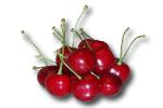 Cherries