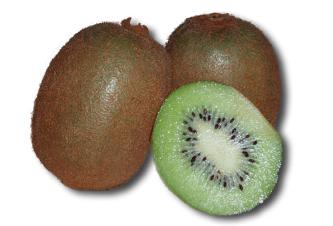 Kiwi1