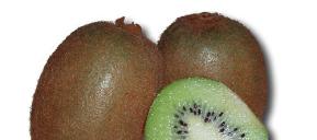 Kiwi